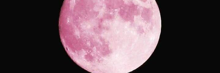 Texaskate912's profile banner image