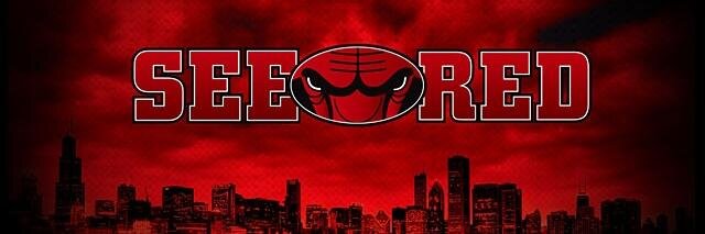 Chicago Bulls banner