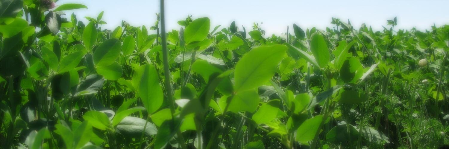 Midwest Cover Crops Council banner