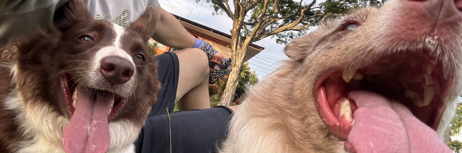 Eusouzao's profile banner image