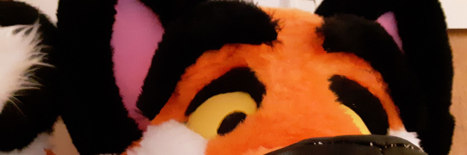 tigerfoxx's profile banner image