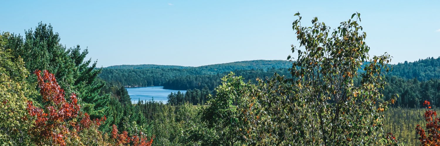 KimvDun's profile banner image
