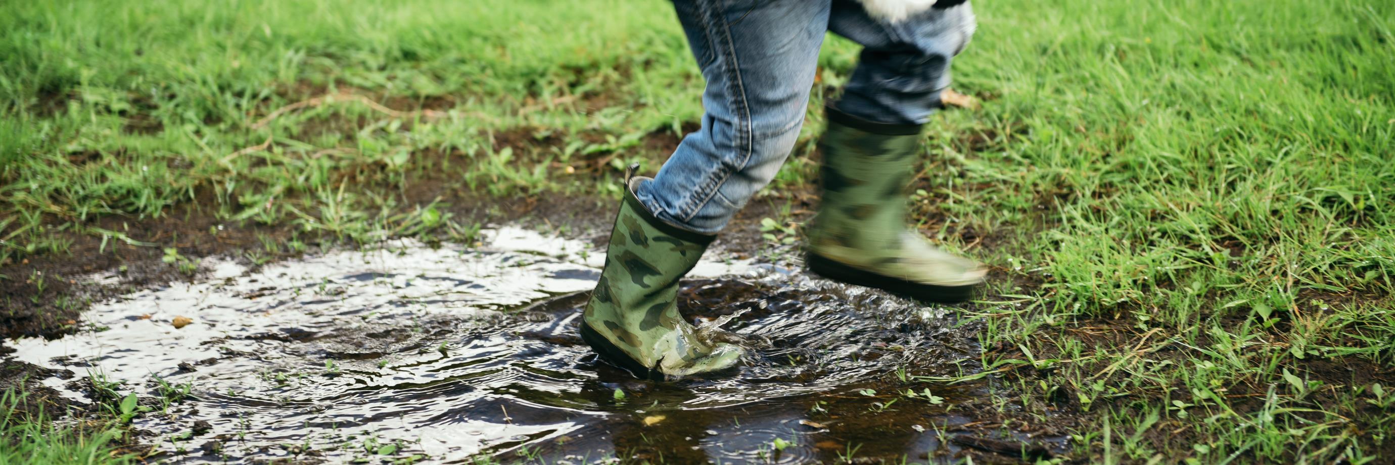 Lymefield Centre banner