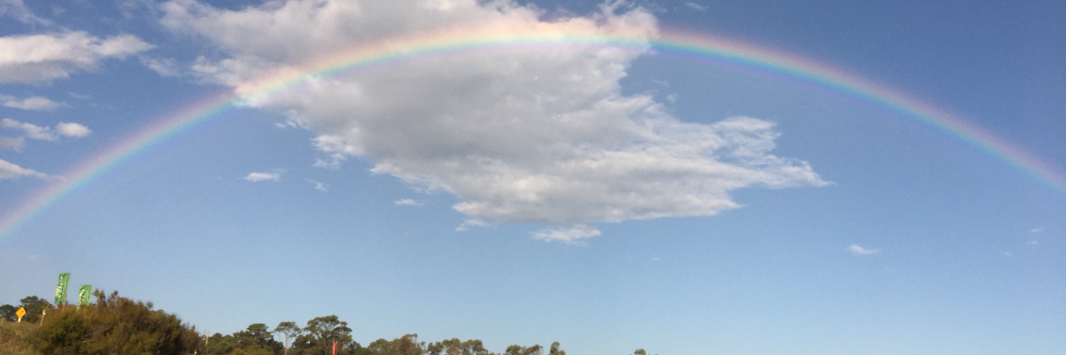TLaunas's profile banner image