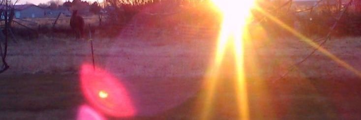 dzalidza's profile banner image
