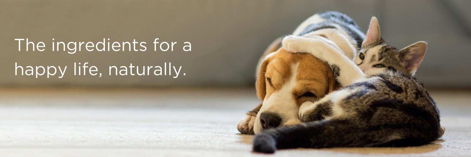 maxxipaws's profile banner image