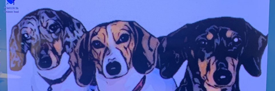 BRICKNILES's profile banner image