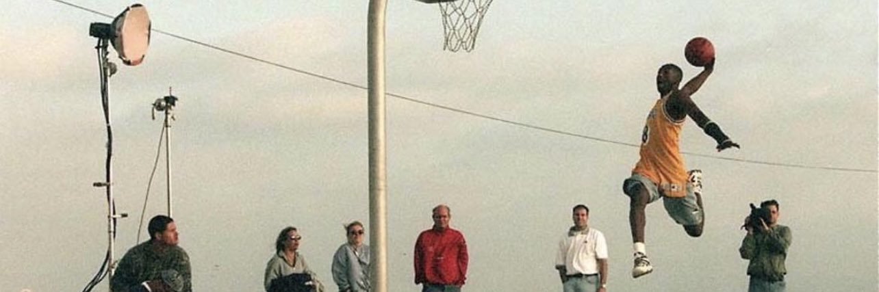 Seabass banner