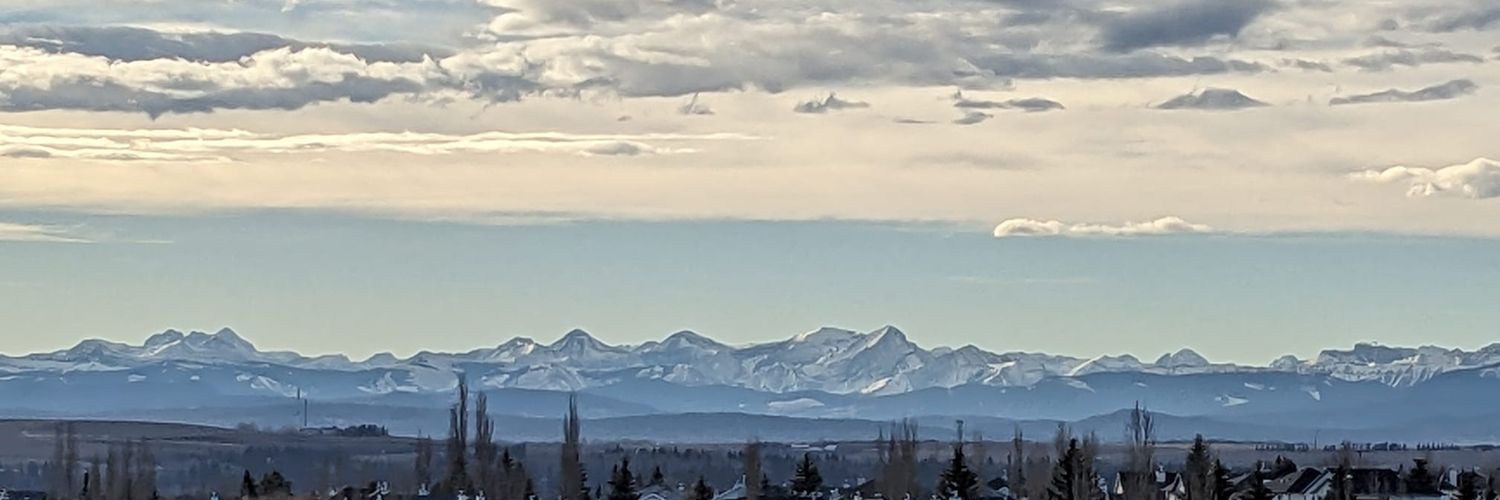 liberalibra's profile banner image