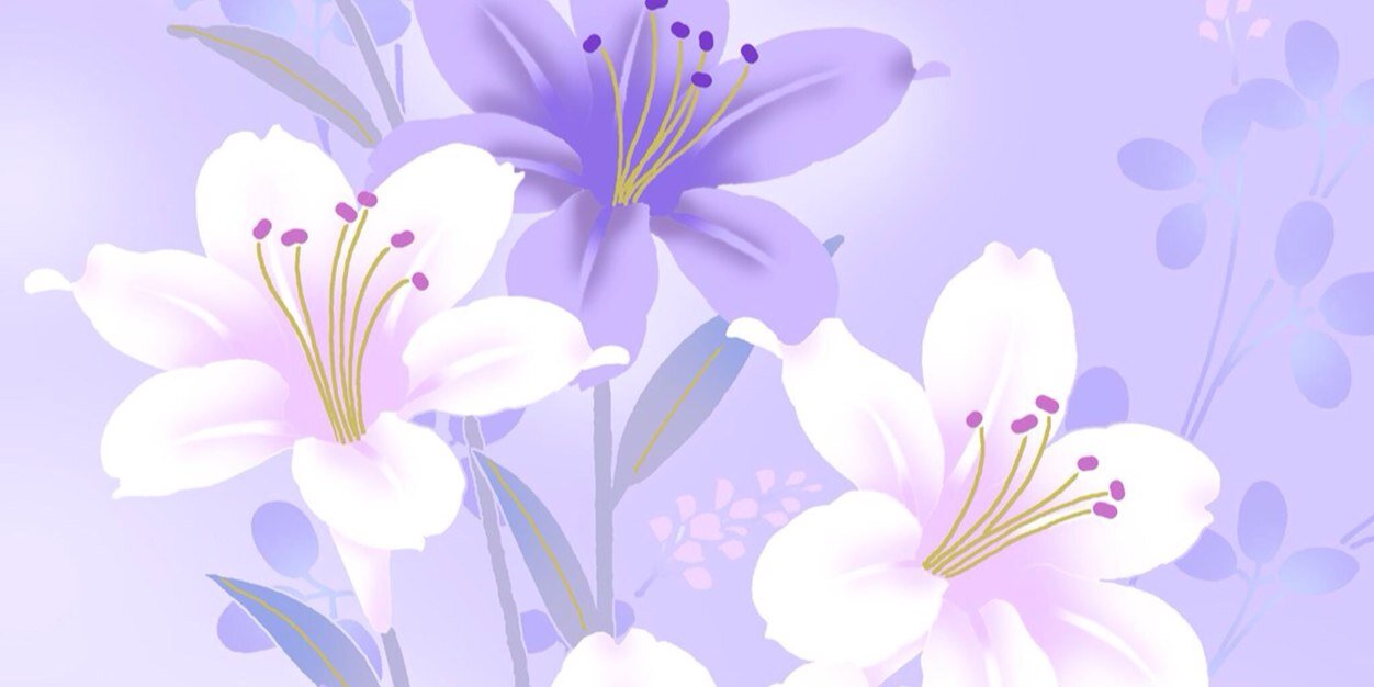 albinasnsd's profile banner image