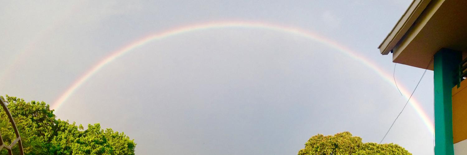 maclis's profile banner image