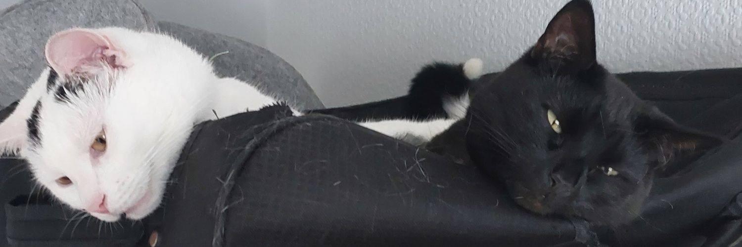 ZRphillips's profile banner image