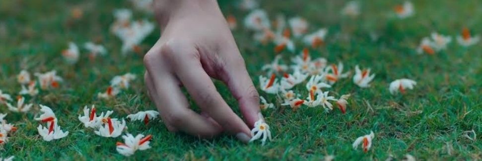 SwaraliB's profile banner image