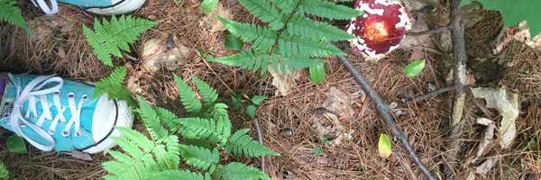 alexzebra321 Profile Banner