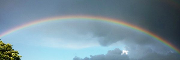 HSimbad Profile Banner