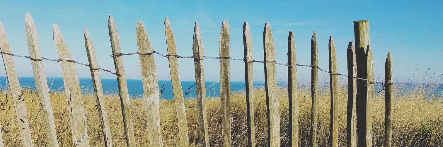 brittapowell's profile banner image