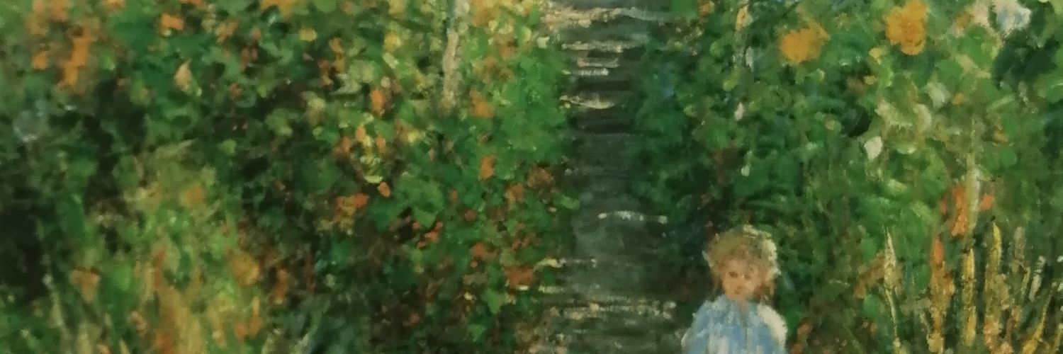 zaidseed's profile banner image