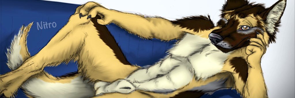 KnottyNitro ➤ bsky banner