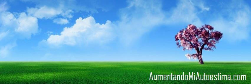 Aumentando_M_A's profile banner image