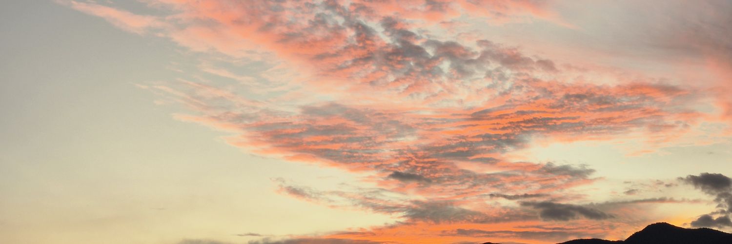 WX banner