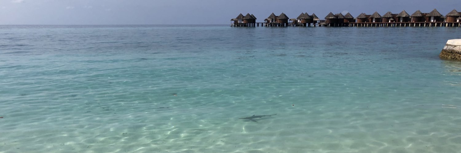 MBouchelif's profile banner image
