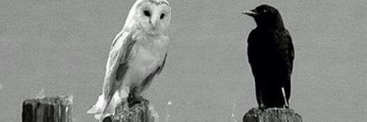 ميم كاف banner