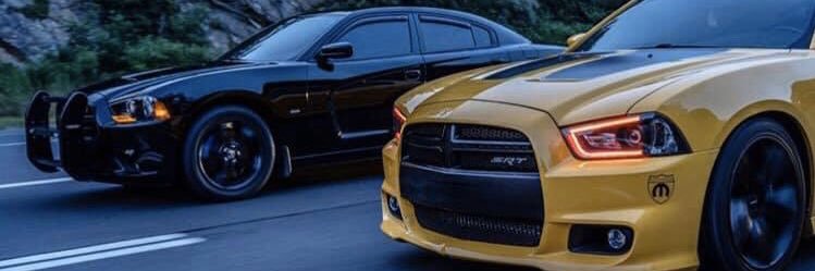 king_peeonidas's profile banner image