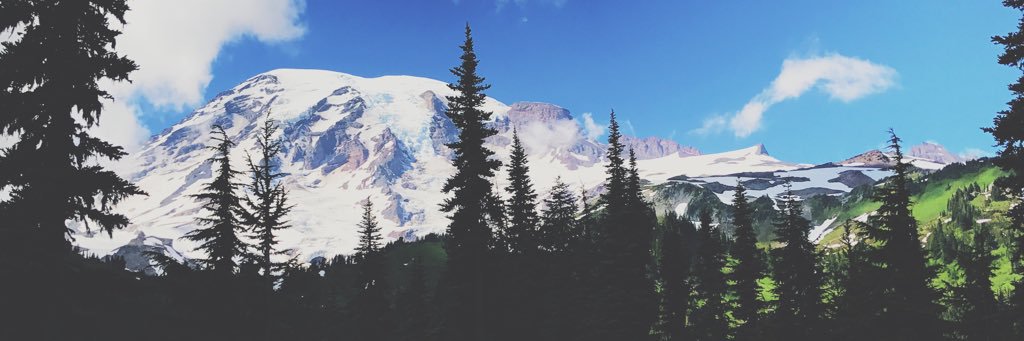 micaelamshrum's profile banner image