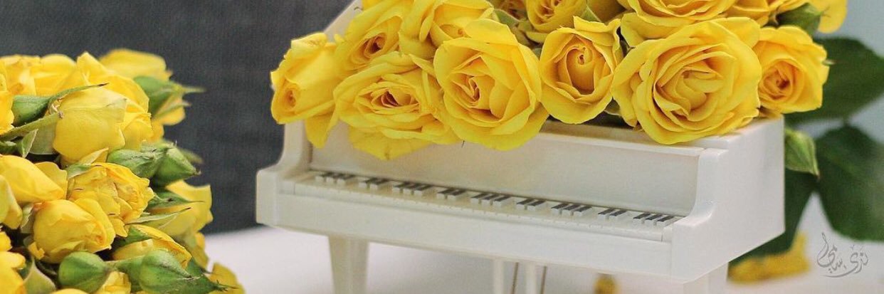 naqaa_s's profile banner image