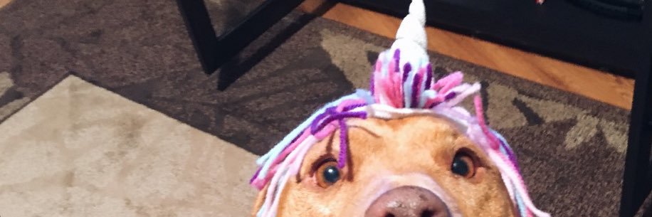 Asmithluv's profile banner image