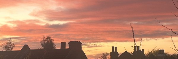 AtlasMrs Profile Banner