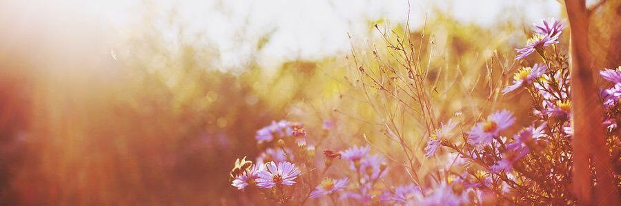 Han_NuhS's profile banner image