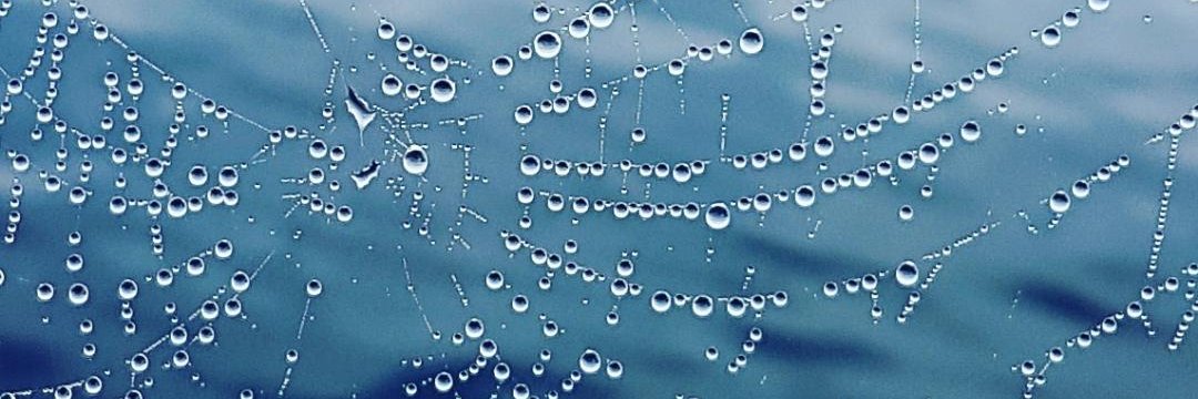 Angelle McDougall banner