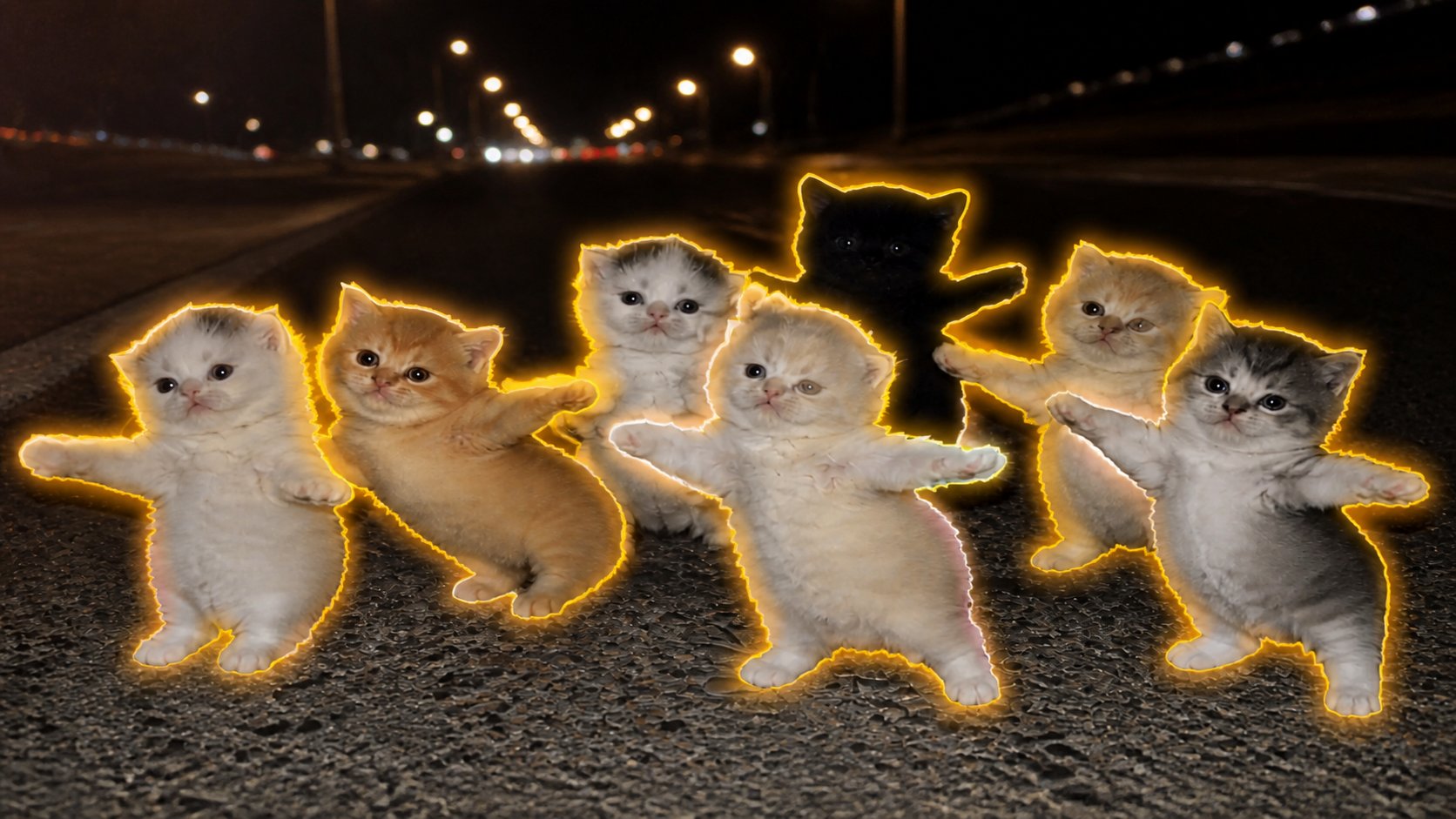 PawzySOL's profile banner image
