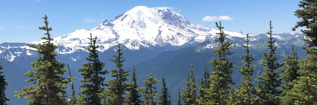 Emilykennell's profile banner image