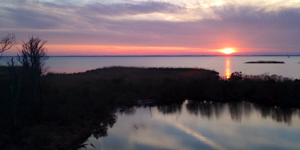 Joanne Buchanan banner