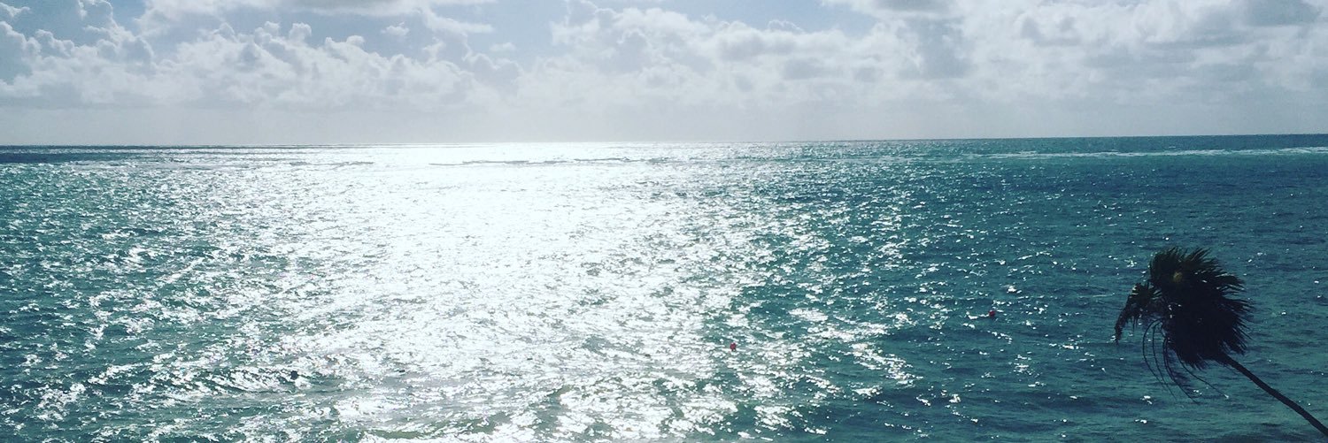 Mackeronie's profile banner image