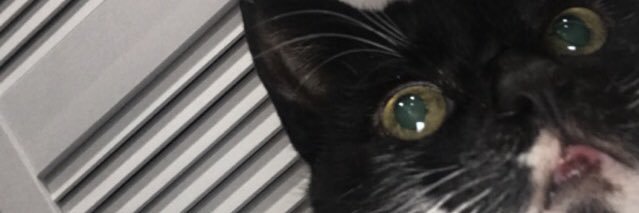 lucyrobinson258's profile banner image