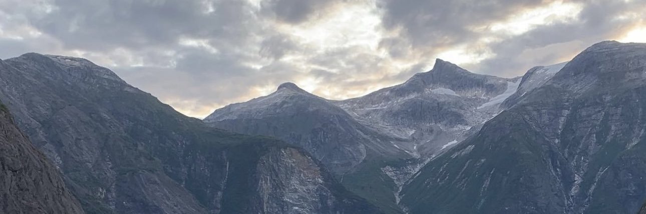 torimoreglory's profile banner image