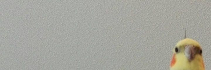 gles_thomas's profile banner image