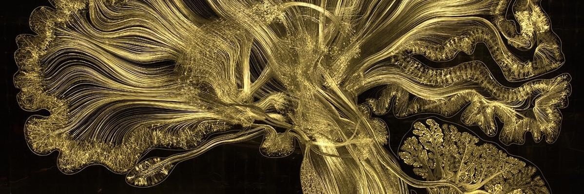 Luis Morquecho⚕ banner