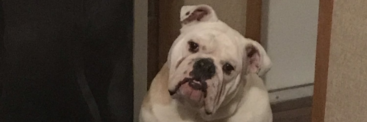 geranavila's profile banner image