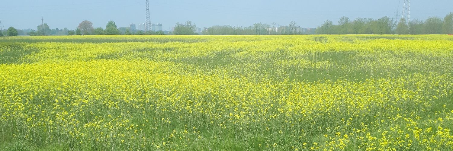 Pietro Nicolodi banner
