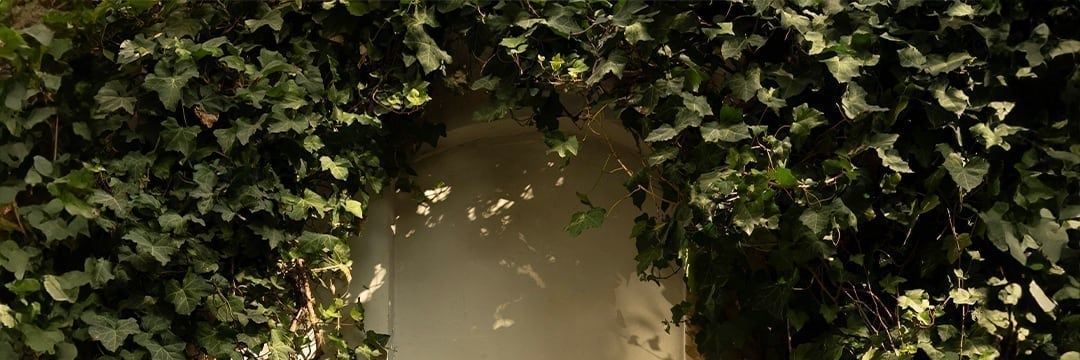 berkcream's profile banner image