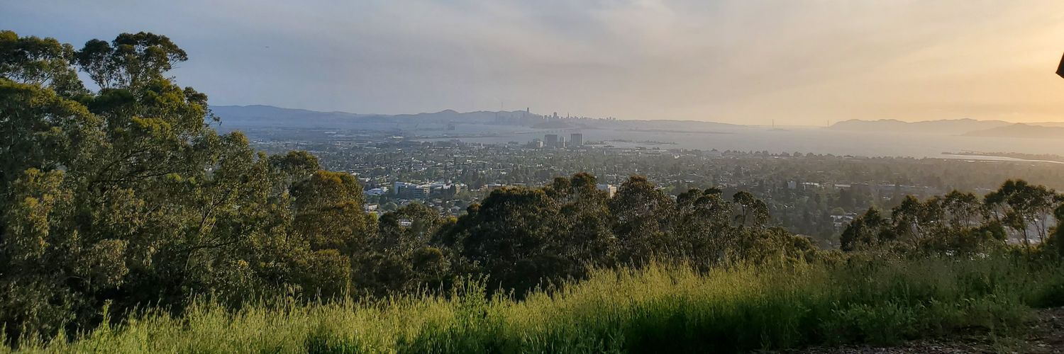 tess_tify's profile banner image