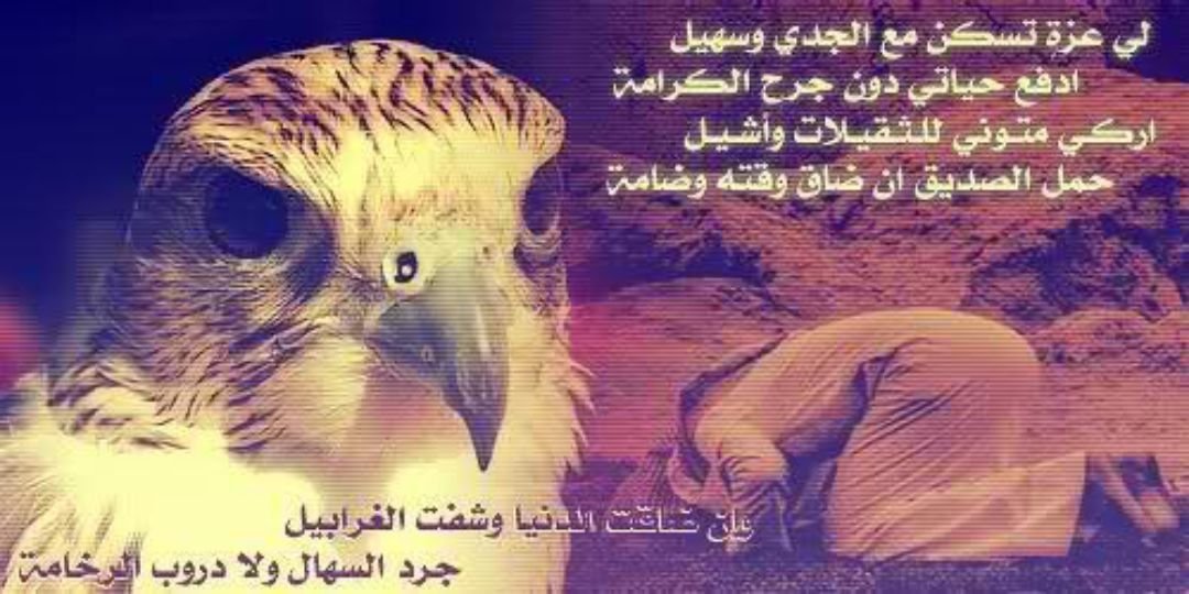 dodokaka97's profile banner image