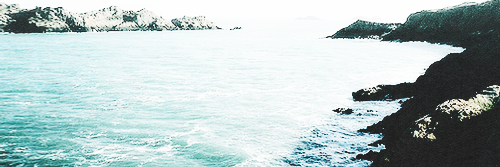 _ashleyfake_'s profile banner image