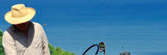 Golfo Golfo Charli banner