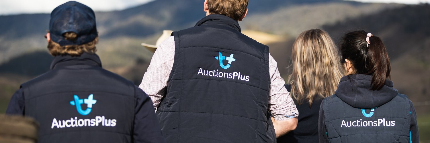AuctionsPlus banner