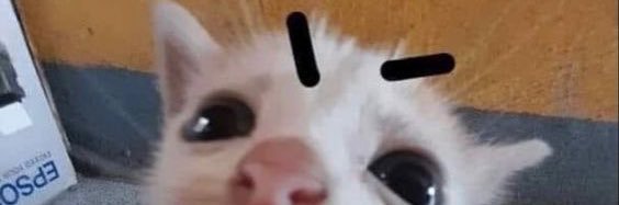 __leth's profile banner image